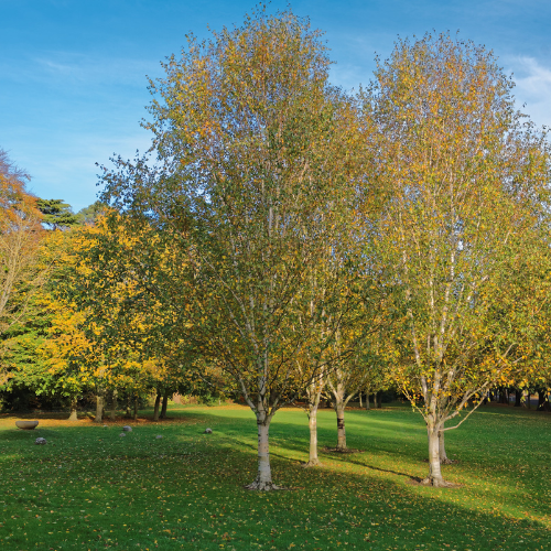 Concierge clinicians about us cover